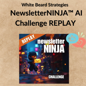 White Beard Strategies - NewsletterNINJA™ AI Challenge REPLAY