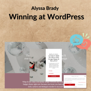 Alyssa Brady – Winning at WordPress