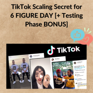 TikTok Scaling Secret for 6 FIGURE DAY [+ Testing Phase BONUS]