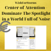 WishForStorms - Center of Attention - Dominate The Spotlight in a World Full of Noise