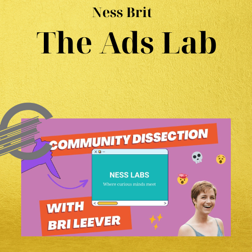 Ness Brit - The Ads Lab 1 Ness Brit - The Ads Lab