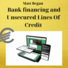 Matt Began - Bank financing and Unsecured Lines Of Credit