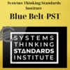 Systems Thinking Standards Institute – Blue Belt-PST