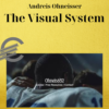 Andreis Ohneisser – The Visual System