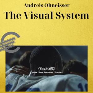 Andreis Ohneisser – The Visual System